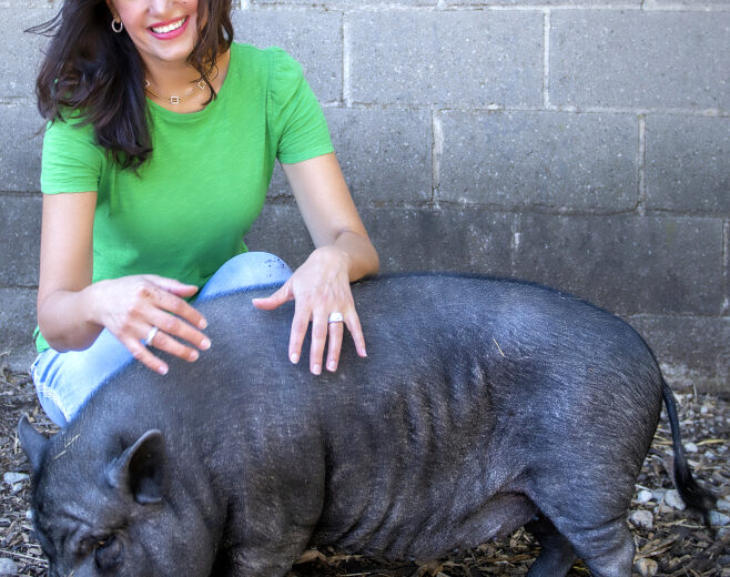 Suzana Gartner with a black pig, Penelope, at a farm