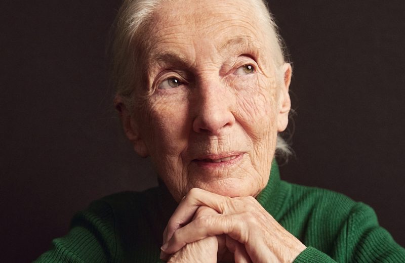 Photo by Katherine Holland via Dr. Jane Goodall on Facebook