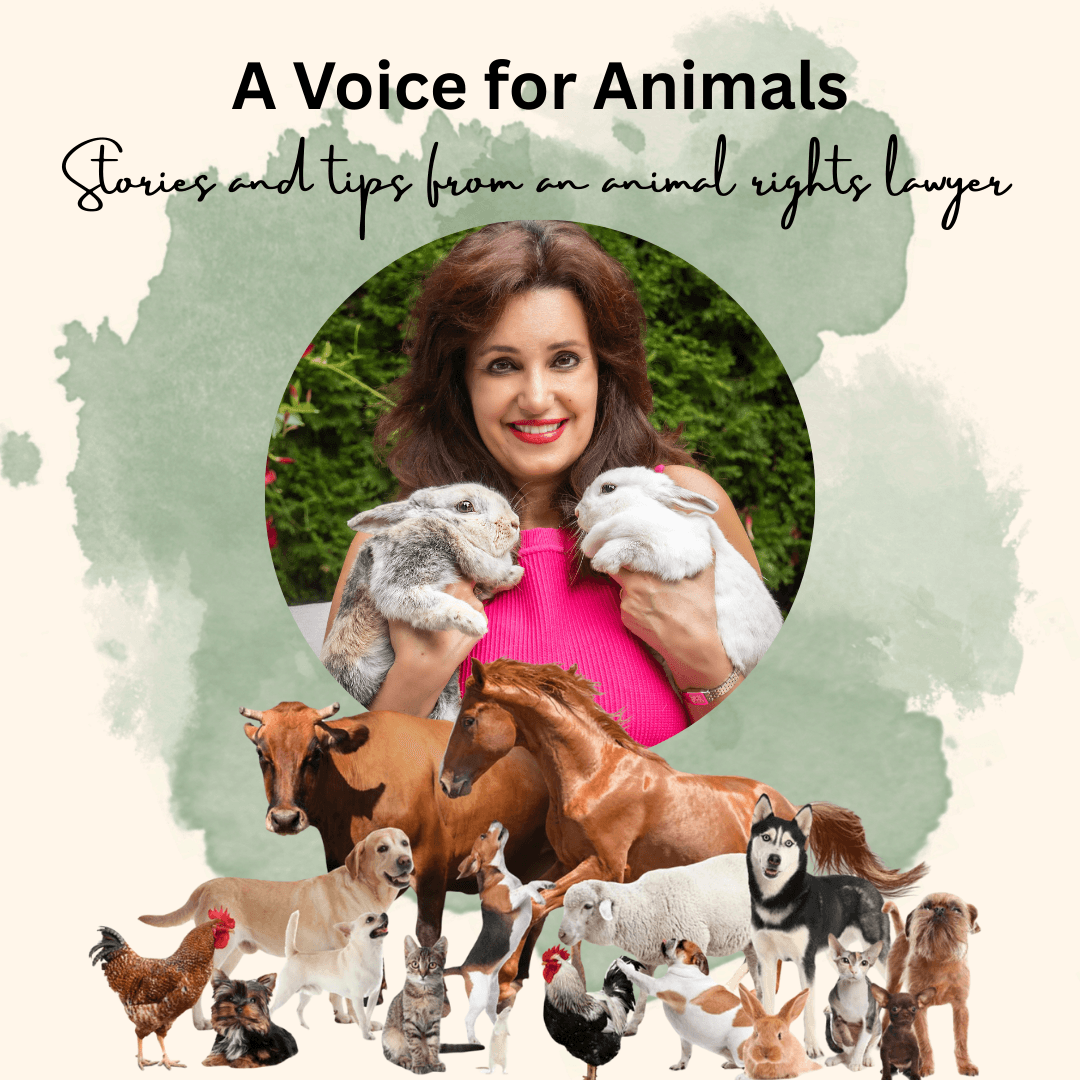 Suzana Gartner-Vlaovic with a donkey