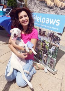 <p>Suzana Gartner in St. Lucia at a event to help homeless dogs</p>
